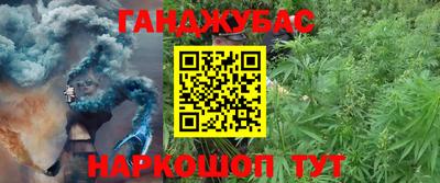ГАЛЛЮЦИНОГЕННЫЕ ГРИБЫ Гусиноозёрск