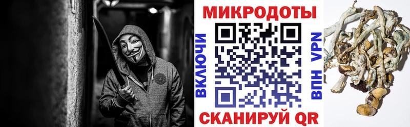 Псилоцибиновые грибы Psilocybine cubensis  Елизово 