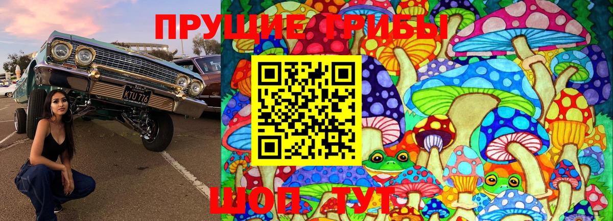 Псилоцибиновые грибы Psilocybine cubensis Елизово